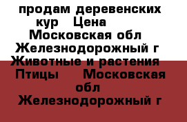 продам деревенских кур › Цена ­ 500 - Московская обл., Железнодорожный г. Животные и растения » Птицы   . Московская обл.,Железнодорожный г.